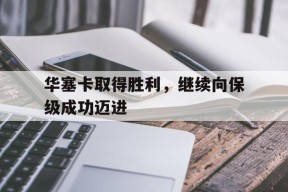 华塞卡取得胜利，继续向保级成功迈进-平博APP
