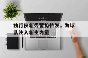 独行侠新秀蓄势待发，为球队注入新生力量-平博APP