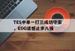TES中单一打三成功守家，EDG遗憾止步八强-平博体育