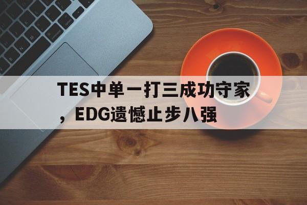 TES中单一打三成功守家，EDG遗憾止步八强-平博体育  第1张