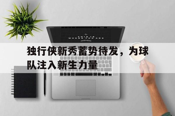 独行侠新秀蓄势待发，为球队注入新生力量-平博APP  第1张